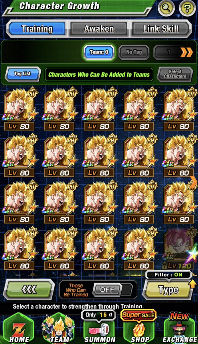 EternalAkuno's tweet photo. Always dokkan responsibly https://t.co/iUmV1d3Niz