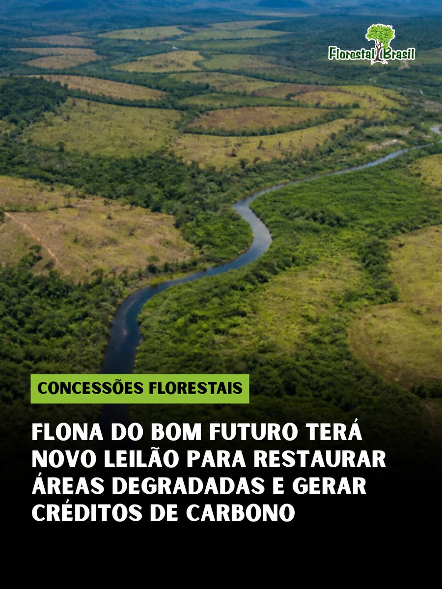 florestalbrasil's tweet photo. O Serviço Florestal Brasileiro (SFB) lançou o edital do segundo lote de concessão da Floresta Nacional do Bom Futuro, em Porto Velho (RO). A iniciativa combina restauração florestal, conservação, geração de créditos de carbono e desenvolvimento econômico local.

A área concedida terá 39.276 hectares, dos quais aproximadamente 6,4 mil hectares deverão ser restaurados ao longo do contrato. Diferentemente das concessões tradicionais voltadas ao manejo de florestas existentes, esse modelo tem como foco a restauração produtiva de áreas degradadas.

O contrato terá duração de 40 anos, contados a partir da aprovação do Plano de Restauração Florestal. A concessionária poderá gerar receitas com créditos de carbono, além de produtos florestais previstos no modelo de concessão e cadeias associadas à restauração.

O edital também estabelece investimentos em pesquisa científica, educação ambiental, proteção florestal e comunidades do entorno, incluindo ações relacionadas ao povo indígena Karitiana. Há ainda incentivos para aquisição regional de sementes e mudas, contratação de mão de obra local e ações de inclusão.

Esse será o segundo processo de concessão para restauração na Flona do Bom Futuro. O primeiro lote, leiloado em março de 2026, marcou a entrada de um modelo em que a recuperação de áreas degradadas pode ser financiada principalmente pela geração e comercialização de créditos de carbono.

As propostas para o novo lote deverão ser entregues na B3, em São Paulo, em 4 de novembro, e a abertura dos envelopes está prevista para 18 de novembro de 2026.

🌱 A proposta coloca em prática uma ideia importante para a economia florestal: áreas degradadas podem voltar a gerar floresta, carbono, produtos e renda. O desafio será demonstrar que essa conta também funciona econômica e ecologicamente no longo prazo.

💬 Você acredita que concessões associadas ao mercado de carbono podem acelerar a restauração de áreas degradadas na Amazônia?

Fontes: Canal Rural (referência principal); Serviço Florestal Brasileiro (SFB)
