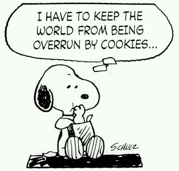 DailySnoopys's tweet photo. 🍪🍪 https://t.co/NT9m0sIMle