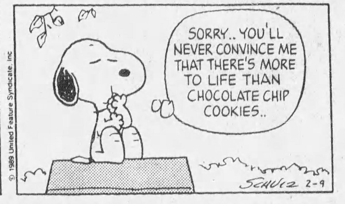 DailySnoopys's tweet photo. 🍪🍪 https://t.co/NT9m0sIMle