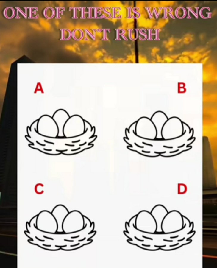 Lindsey_448's tweet photo. Smartest people will still miss 
One of these is wrong and your brain will ignore it 
Can you tell which one it is? https://t.co/HlL9sYTmKu
