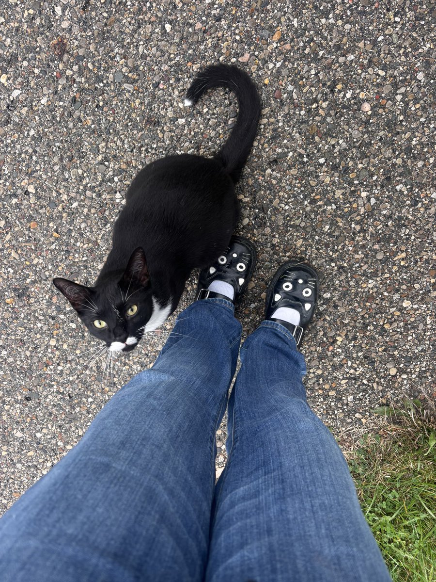 onbirdinthecage's tweet photo. walking to the bus stop and this happened🥺🥹😭 https://t.co/u5KycffjG8