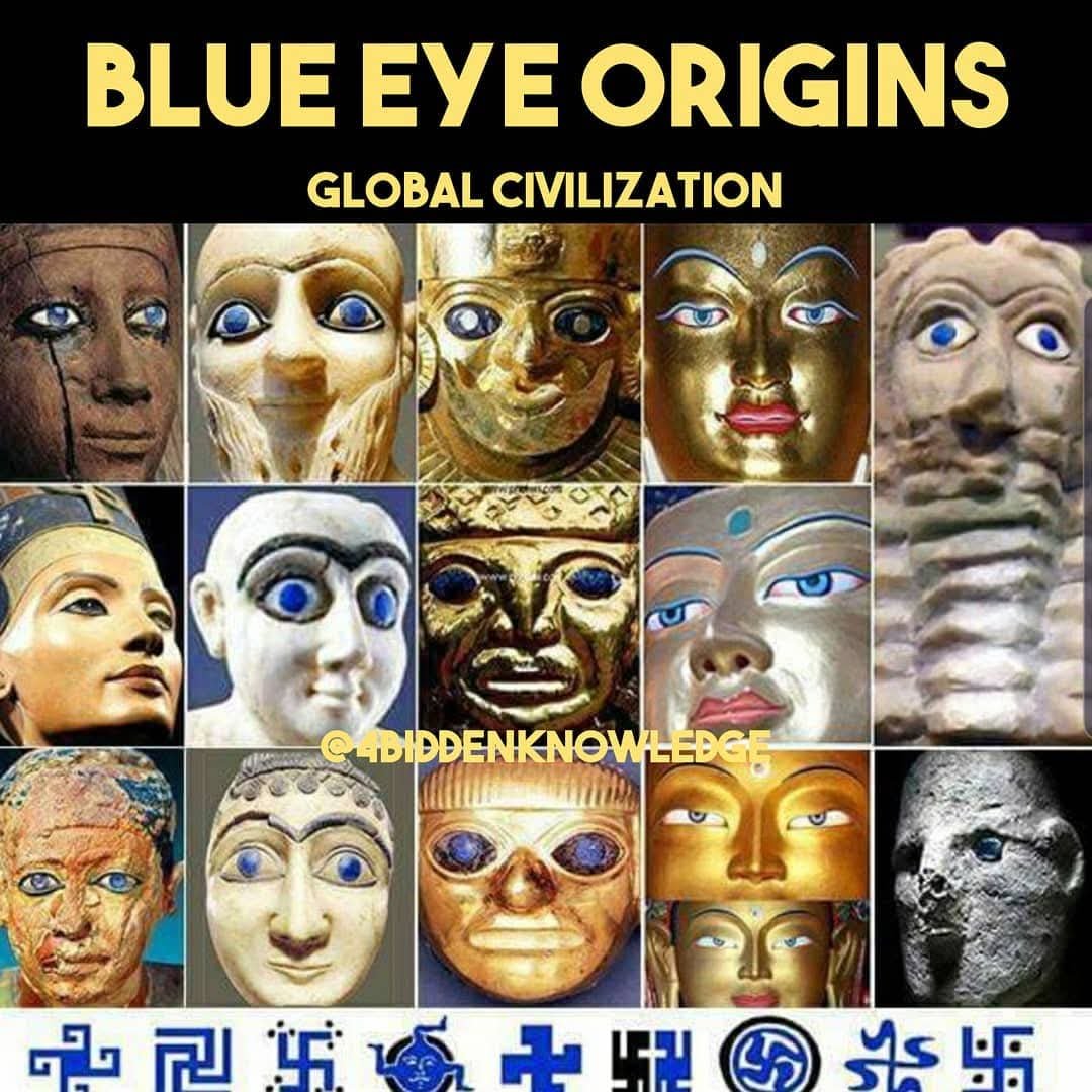 AryanWorldOrder's tweet photo. @turtleisl_girl @buckthebigguy77 If that was true , then all these mummies wouldn't have blonde hair and blue eyes , and then they wouldn't be statues everywhere, with blue eyes.

Hair does not get red or blonde from bleaching. Bleaching is a complete lack of pigmentation. Blonde shines bleach does not. https://t.co/MGDx8olI8L