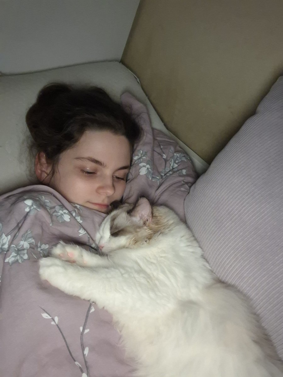Sayumikko's tweet photo. Наступило моё любимое время суток https://t.co/mGL1zqvRys