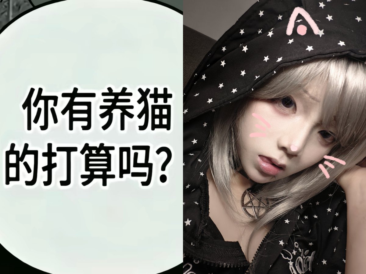 tqvfrh's tweet photo. 喵喵 https://t.co/dDbSHw3enJ