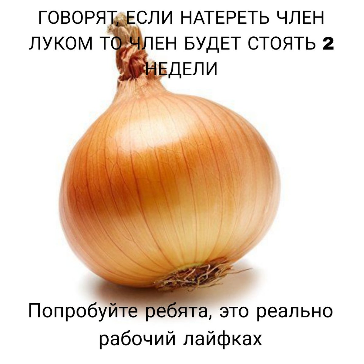 gopstophub's tweet photo. @dixis_pixis Бля я чувствую себя адвокатом дьявола... https://t.co/HNUdrnp2xL