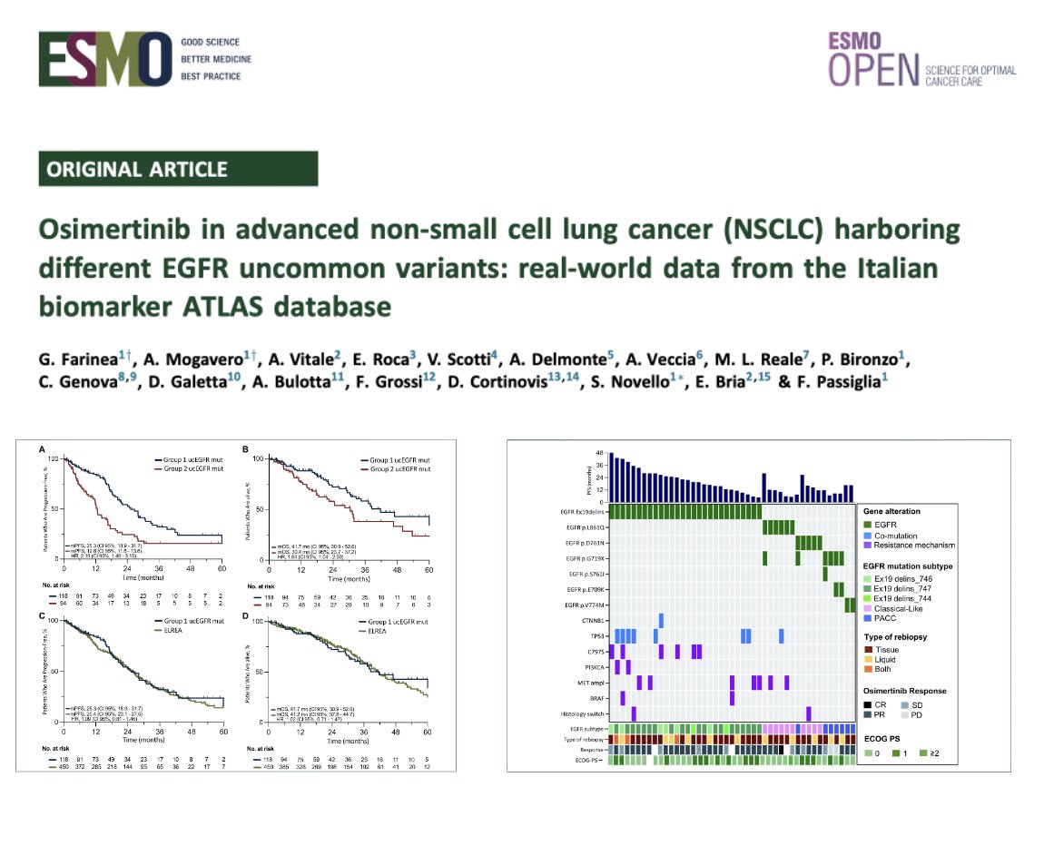 ESMO_Open's tweet photo. Osimertinib in aNSCLC harboring different EGFR uncommon variants: RWD from the Italian biomarker ATLAS database in @ESMO_Open. Distinct activity &amp; resistance across variants. ex19delins outcomes similar to classical ex19del. https://t.co/uWZWtjYtNm https://t.co/vxr231ZFbt
