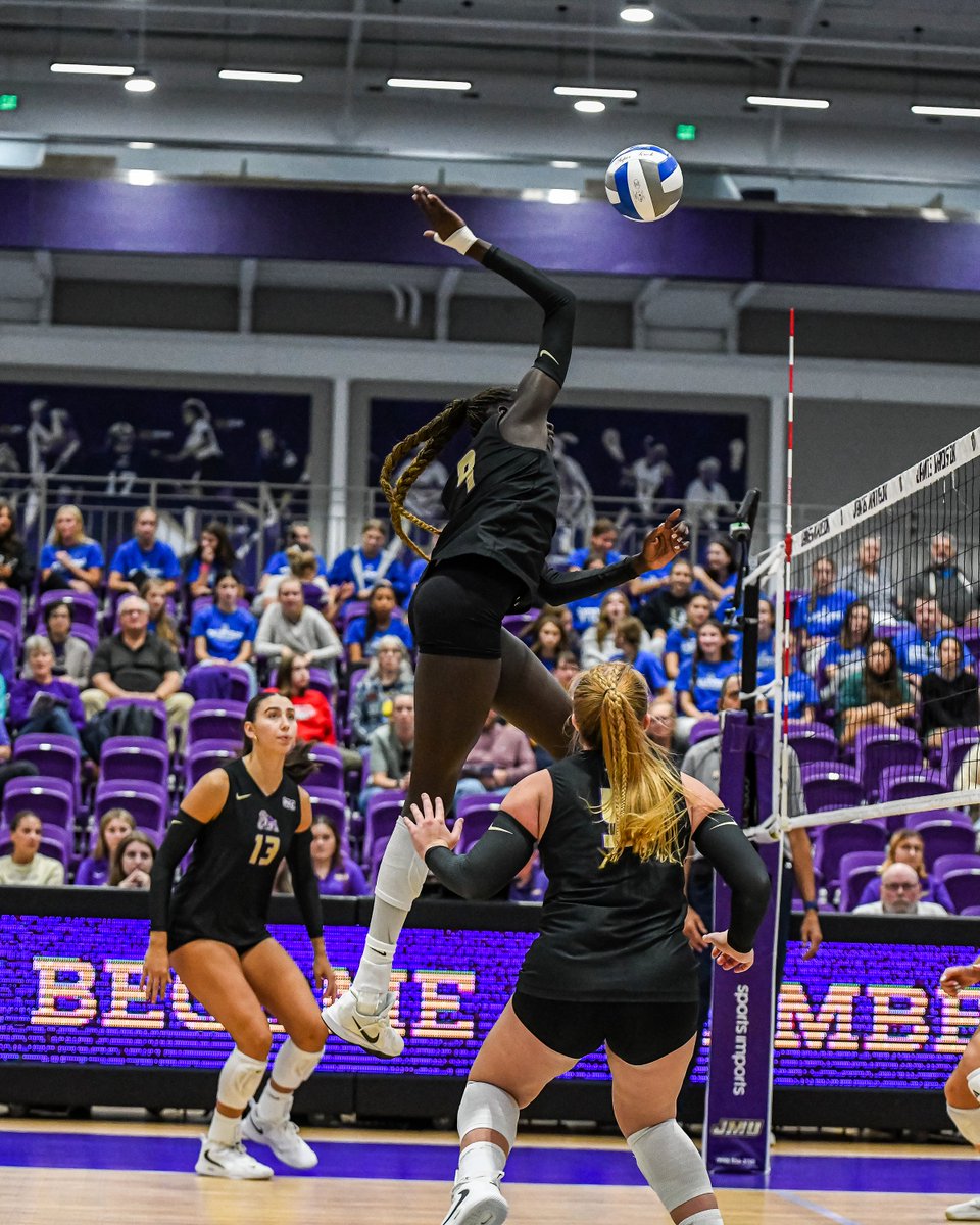 JMUVolleyball's tweet photo. More to come 😏 

#GoDukes https://t.co/xF1Uv6gI2O