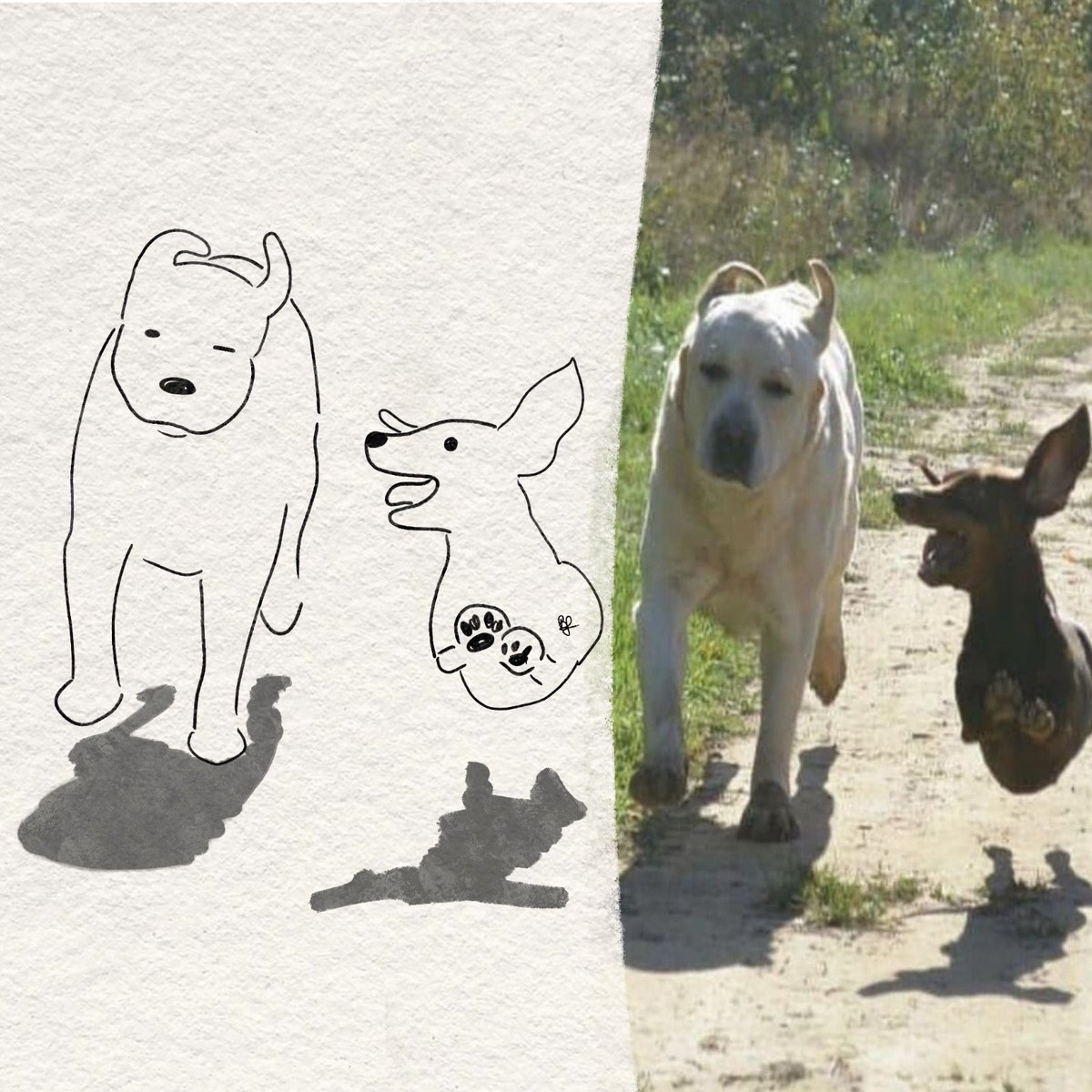 twaniimals's tweet photo. https://t.co/NeIOQGJmHi
