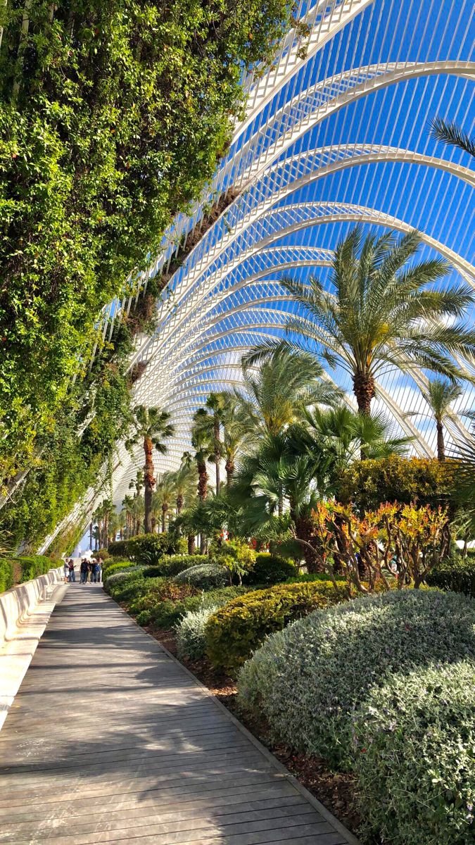 echoesofworld's tweet photo. Valencia, Spain https://t.co/ODWe8xliyq