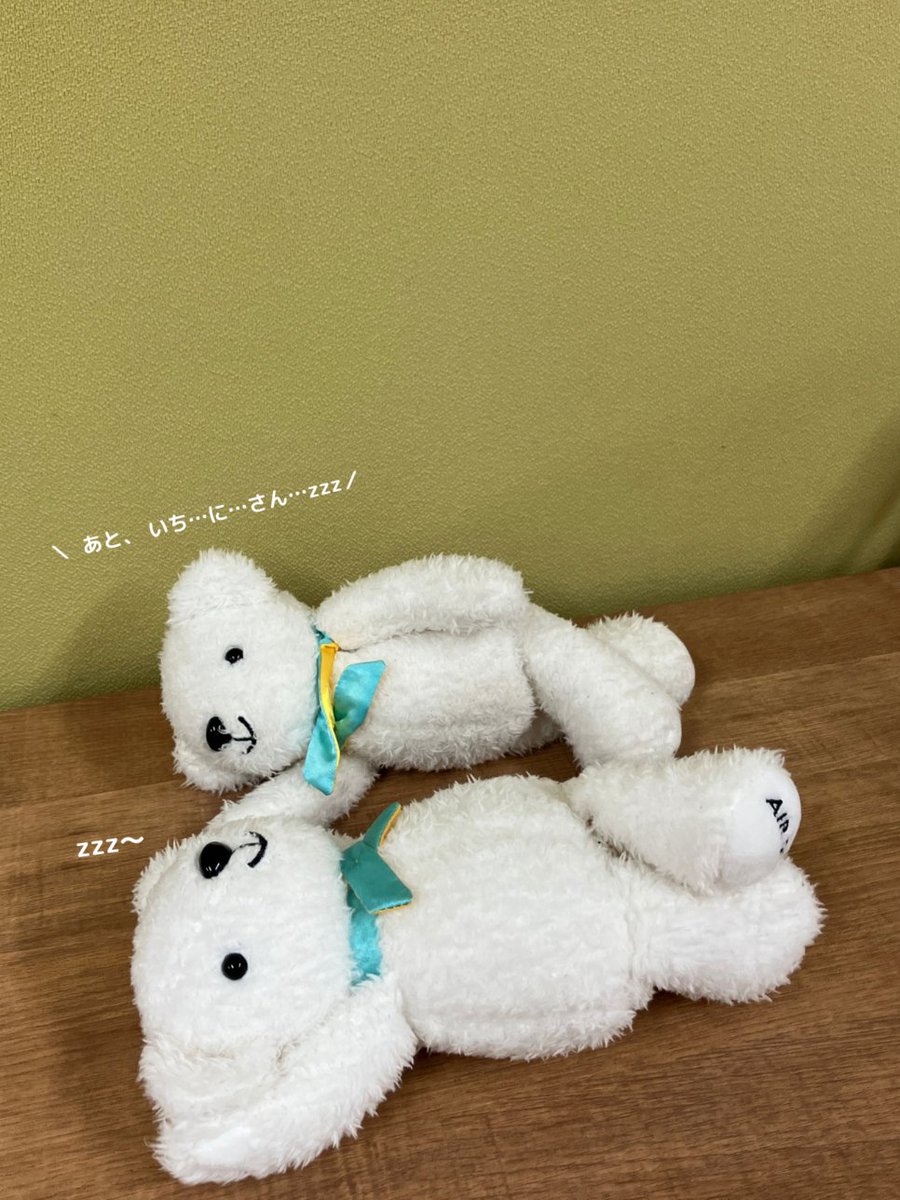 airdo_hokkaido's tweet photo. おはどぅございます！
2026年が終わるまで、今日を含めてあと何日かベア・ドゥが数えています( ˘ᴥ˘)ｽﾔｧ https://t.co/72XIQxCFOW