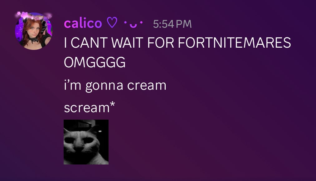cutecalicottv's tweet photo. https://t.co/0XnW0l9Igz