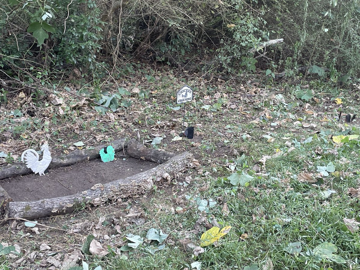 PoorChicken88's tweet photo. @chb2xx Proud of ya buddy! I came home from work and cleaned all the kudzu off chicken graveyard instead of drinking ! https://t.co/GPNLRToymr