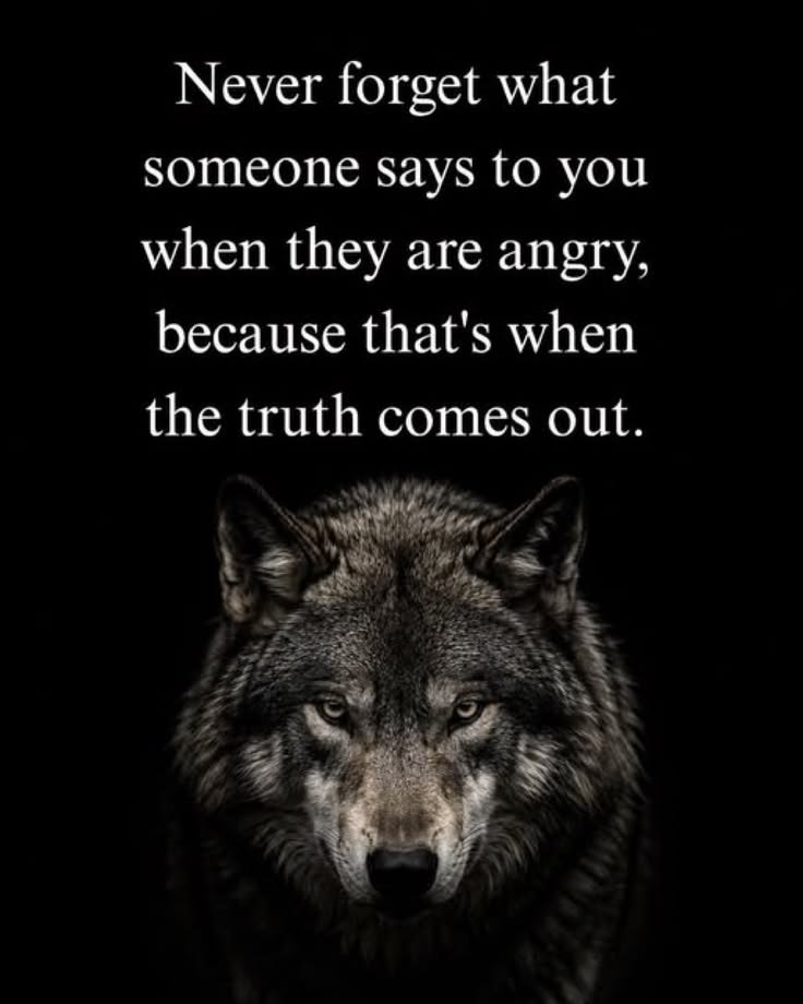 wolf_lovers__'s tweet photo. https://t.co/I9ERErwUJG