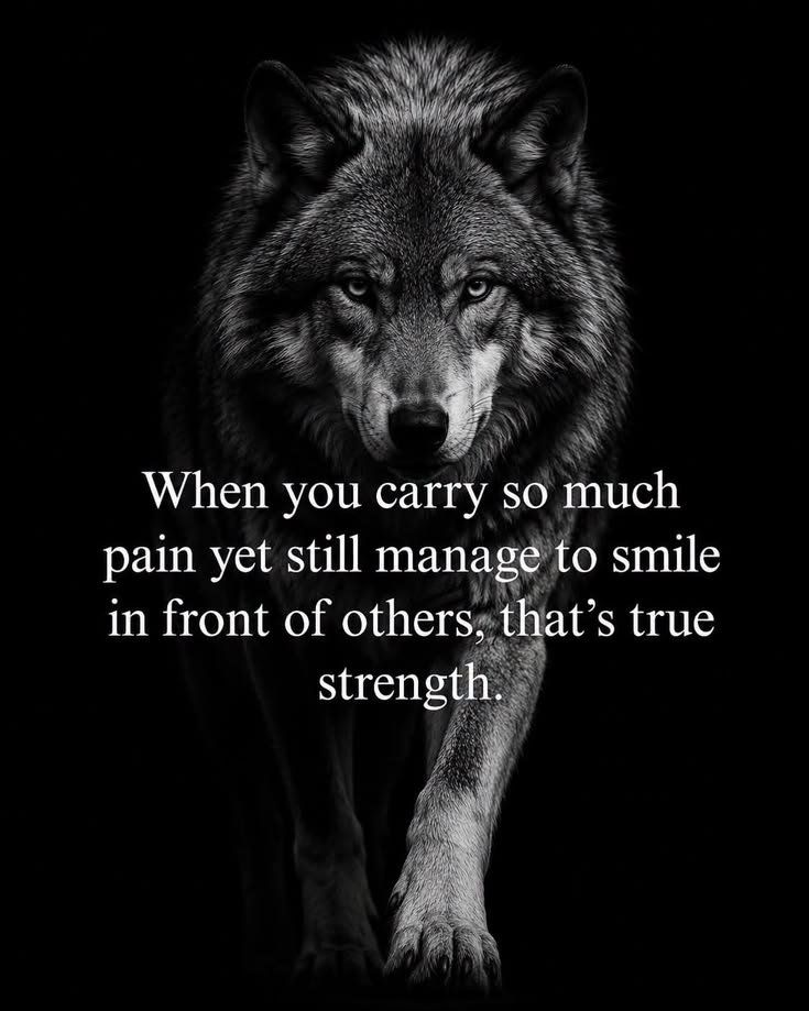 wolf_lovers__'s tweet photo. https://t.co/XmQa2n3z2J