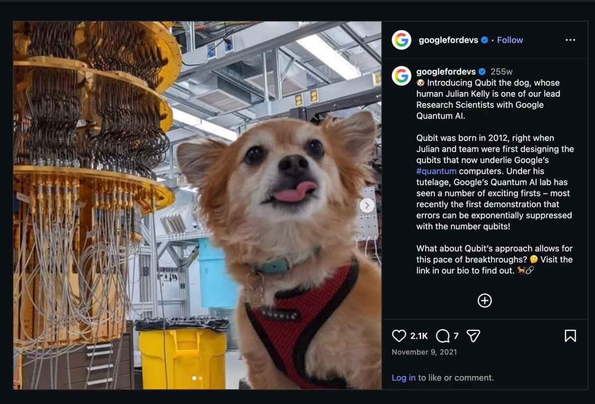 Vexrynx's tweet photo. Qubit is the only dog related to the quantum world. His human is the lead scientist with GOOGLE quantum AI. Finally you can pair it to a stock called Quant.  Qubit went to 5m in the past with no pairing.  

CA: 8nSQRjqWKuLYfLgdvYaYm63hBoiKSZvGqN7yVaHMfc8q https://t.co/Wt5A9wWtUC