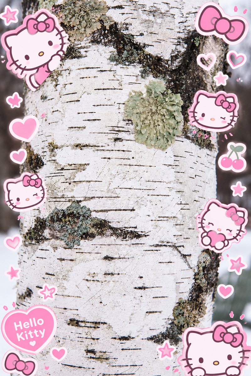 ericvisitskfc's tweet photo. ✮⋆˙My newest one. Wish I went deeper... (into the woods) #shedtwt #sh #KFC #uwu https://t.co/Ja9dqtiJtT