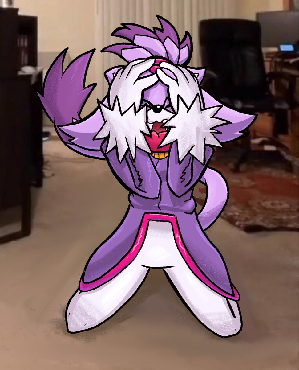 Sunmellows's tweet photo. blaze the cat century of humiliation https://t.co/CEjjhBEnrh