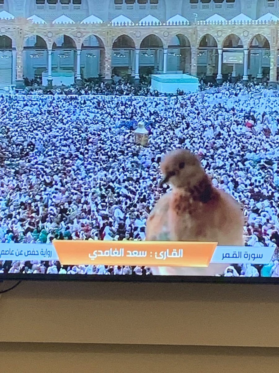 Shdenii's tweet photo. كيوت الحين يرجع لاهله يقول طلعت بالتلفزيون 🤣❤️ https://t.co/Zh94ZUd6iK