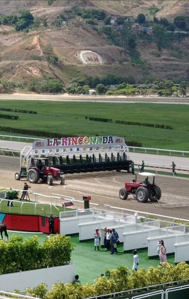 LiderKenny's tweet photo. #Hipismo 🔴ATENCIÓN🔴

Abierta de una vez nuestra asesoría  VIP la mejor de todos los tiempos para este comienzo de mes en #LaRinconada si quieres ser un consecuente ganador ¡YO TE LO HAGO REALIDAD! deja de dar ventajas y juega con mi información.

Suscripción (+58 422.159.48.14) https://t.co/lhABzitVxy