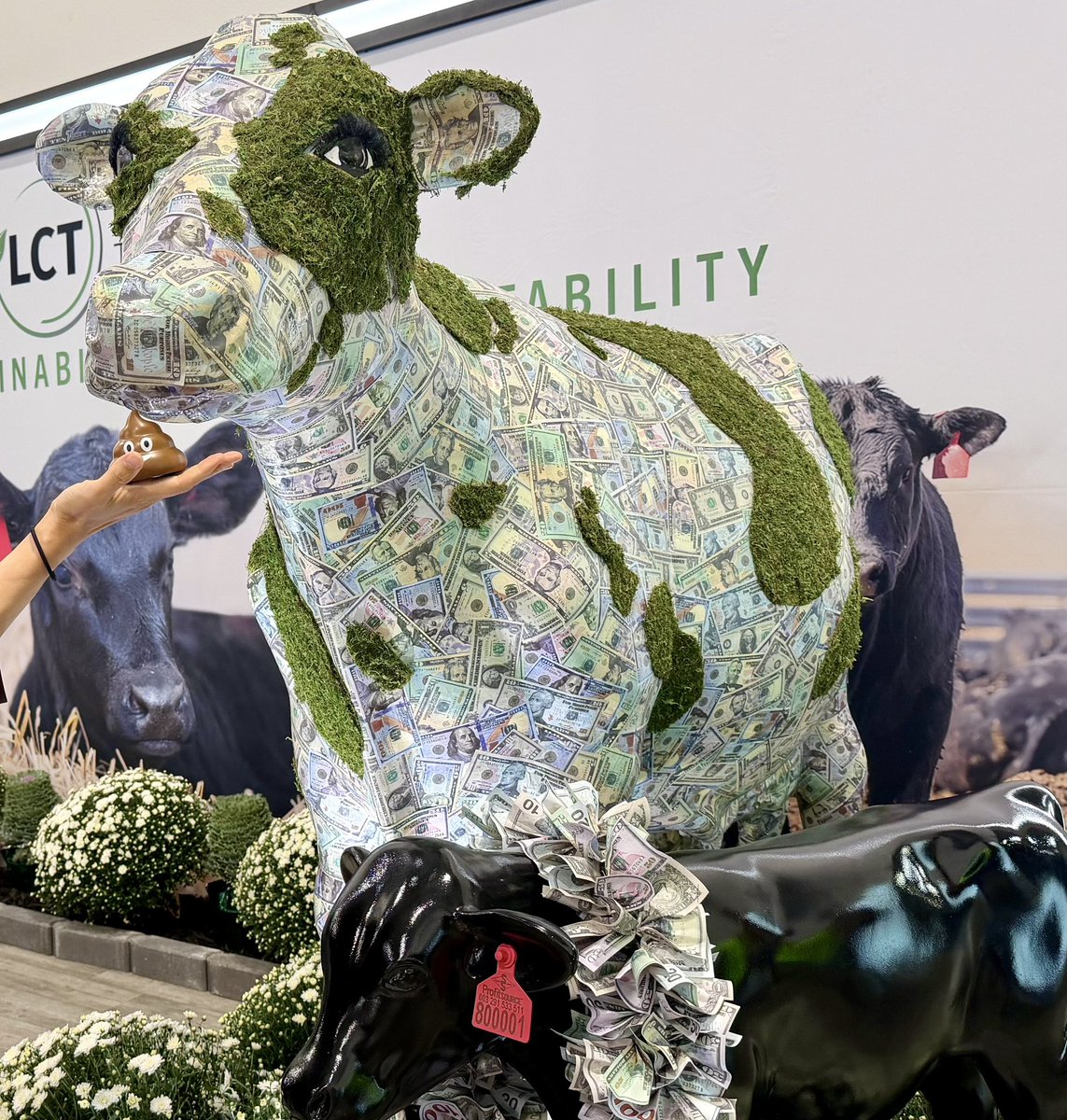 TexasManure's tweet photo. Texas Manure at World Dairy Expo 2026💩
@DairyExpo
#WorldDairyExpo #Dairy #ManureManagement #TexasManure #DairyIndustry #Agriculture #YouTube #MortalityManagement #Composting https://t.co/YnhLw7Dbu0