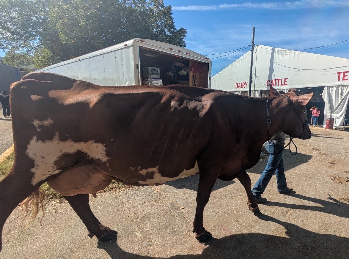 TexasManure's tweet photo. Texas Manure at World Dairy Expo 2026💩
@DairyExpo
#WorldDairyExpo #Dairy #ManureManagement #TexasManure #DairyIndustry #Agriculture #YouTube #MortalityManagement #Composting https://t.co/YnhLw7Dbu0