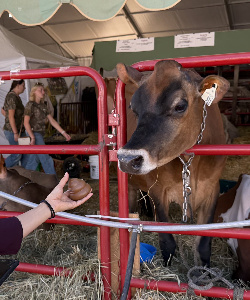 TexasManure's tweet photo. Texas Manure at World Dairy Expo 2026💩
@DairyExpo
#WorldDairyExpo #Dairy #ManureManagement #TexasManure #DairyIndustry #Agriculture #YouTube #MortalityManagement #Composting https://t.co/YnhLw7Dbu0