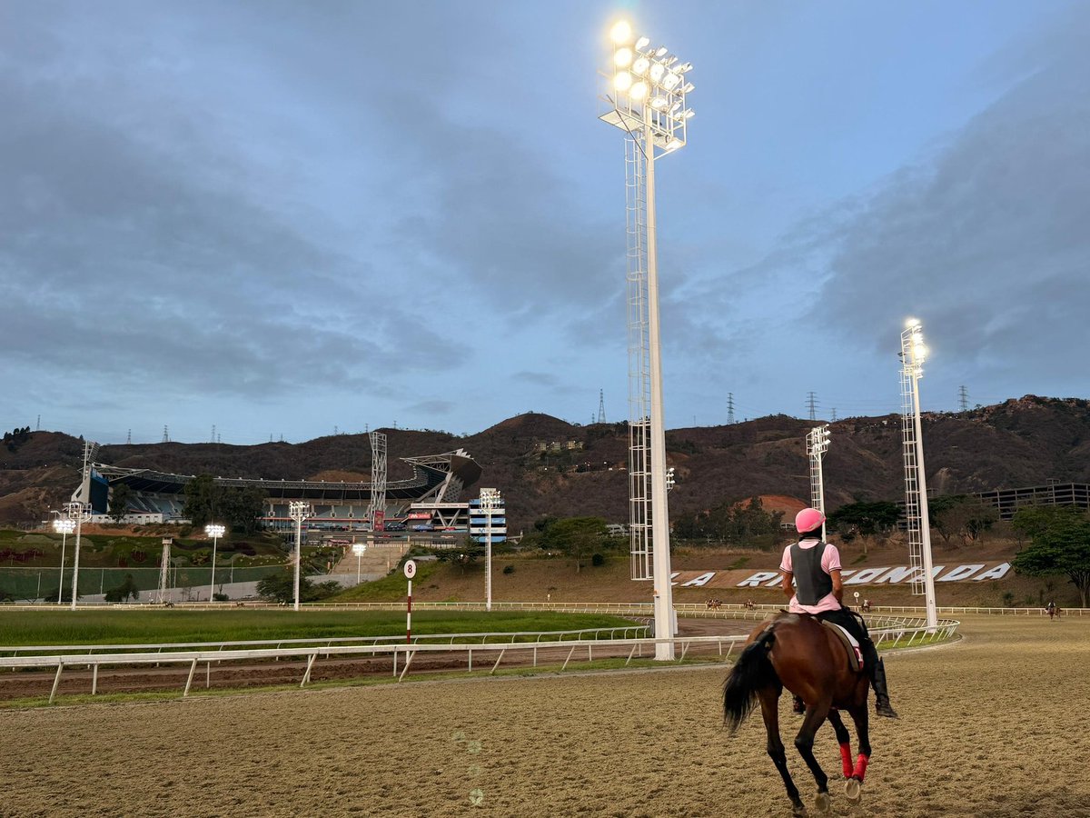 LiderKenny's tweet photo. #Hipismo Nuestro regalo para este #Domingo en #LaRinconada lo defenderá.

1ra carrera La #3 ROSE SENSATIONS con Luis Funez Jr pupila de Ricky Dangelo luce una bola para lograr un triunfo fácil y será nuestro abriendo y ganando para jugar el BCV...

Suscripción (+58 422.159.48.14) https://t.co/Mrdj9hxEUW