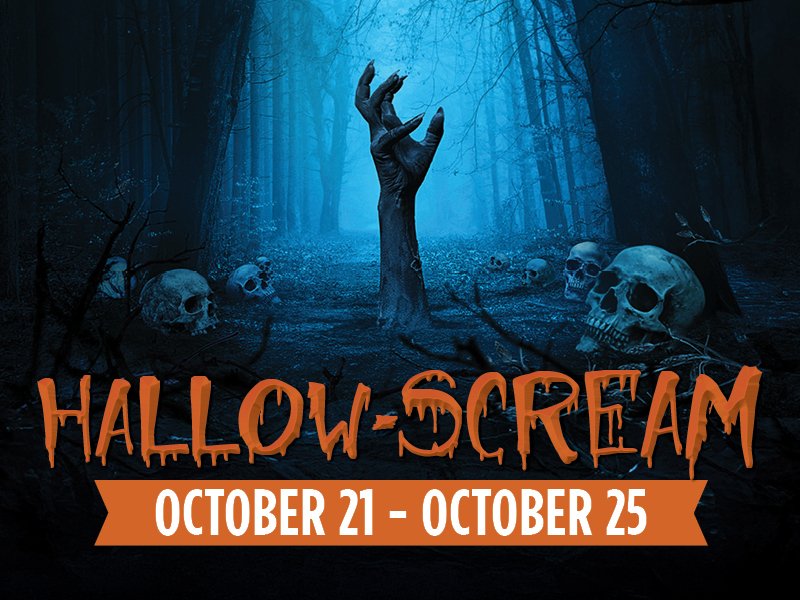 RunAces's tweet photo. 🎃 The Hallow-Scream Tournament is coming! 👻

Get ready for 4 days of poker from October 21–25 with a $360 buy-in, 30,000 starting chip stack. Think you’ve got what it takes to make it through the Hallow-Scream? 

For full details, visit our website. https://t.co/On0EvI4Cbm