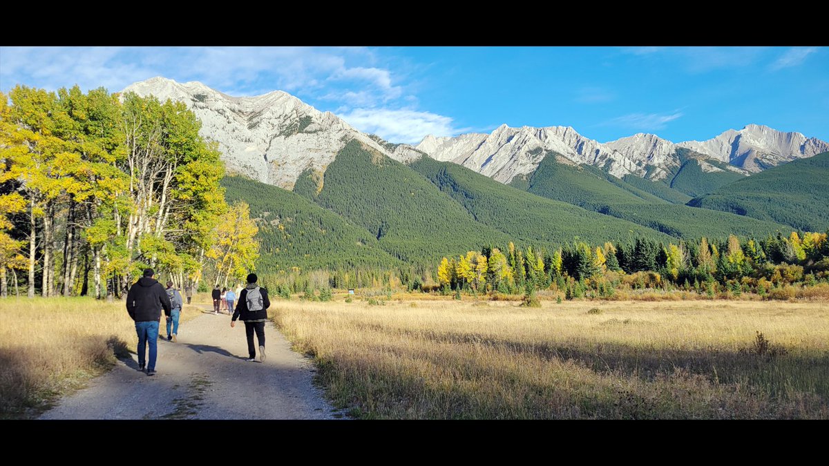 Xenbase's tweet photo. Xenbase University of Calgary and Cincinnati Children's team meeting, Kananaskis, Canada. #science #devbio #cellbio #xenopus #frogs https://t.co/GaXa5f5E7j