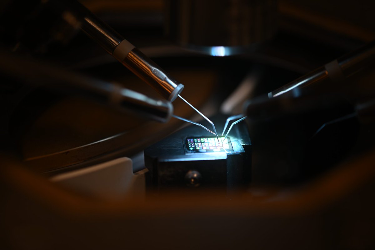 RLEatMIT's tweet photo. 4Q with Sharon Jung Han Hsia: Exploring how light could help simplify the next generation of high power electronics. ⚡️

In this 4Q feature, Sharon Jung Han Hsia discusses optically controlled gallium nitride devices and how using light to control power could lead to simpler, more efficient approaches to high power electronics.

Read the full 4Q to learn more about the research and what is next for optically controlled GaN devices.

https://t.co/ybgMALdubd

#MIT #RLE #4Q #GalliumNitride #GaN #Optoelectronics #PowerElectronics #MITResearch