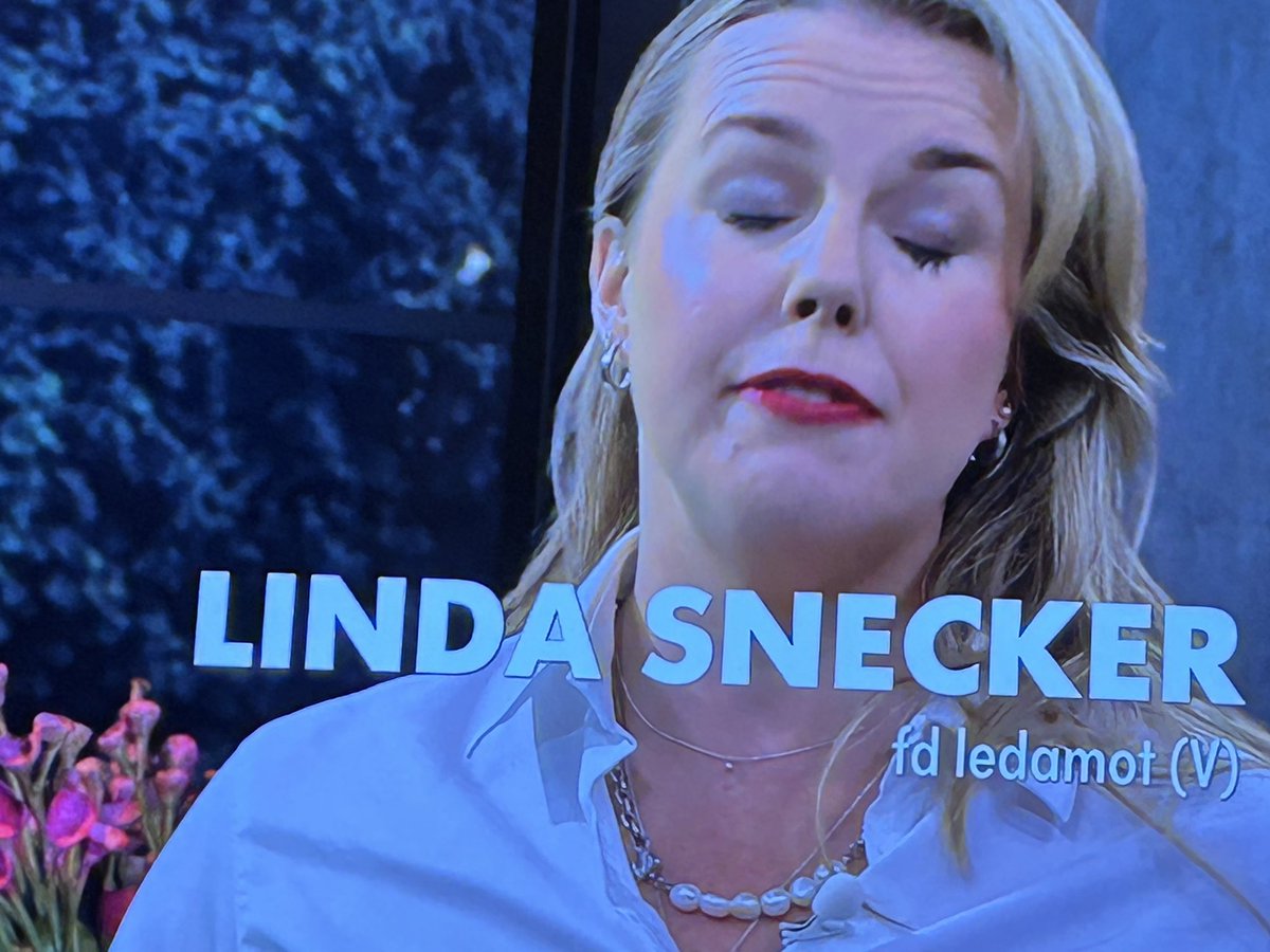 Matolja2's tweet photo. Sjuk situation, när Linda Snecker verkar vara den vuxna i rummet. https://t.co/uOu6DJJSME