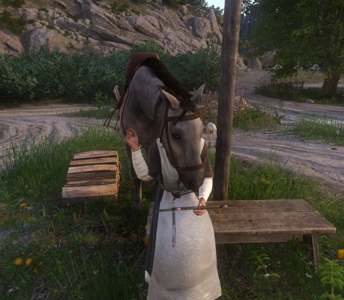 SunnyLuminosaur's tweet photo. Horsegirl Tess my beloved <3 https://t.co/subqb8ROSA