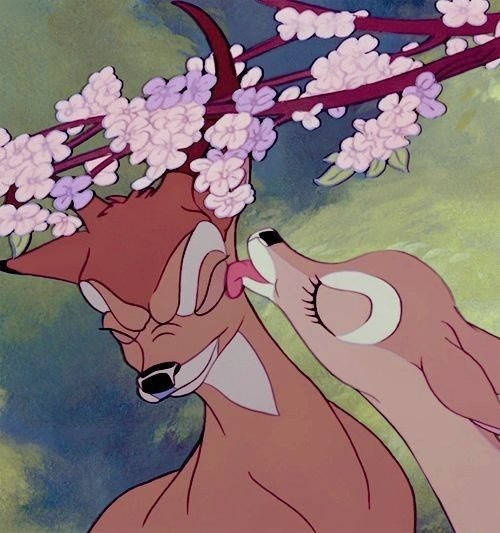 sssamanaconda's tweet photo. he's so bambi coded ♡♡ https://t.co/nSONqiqyEa