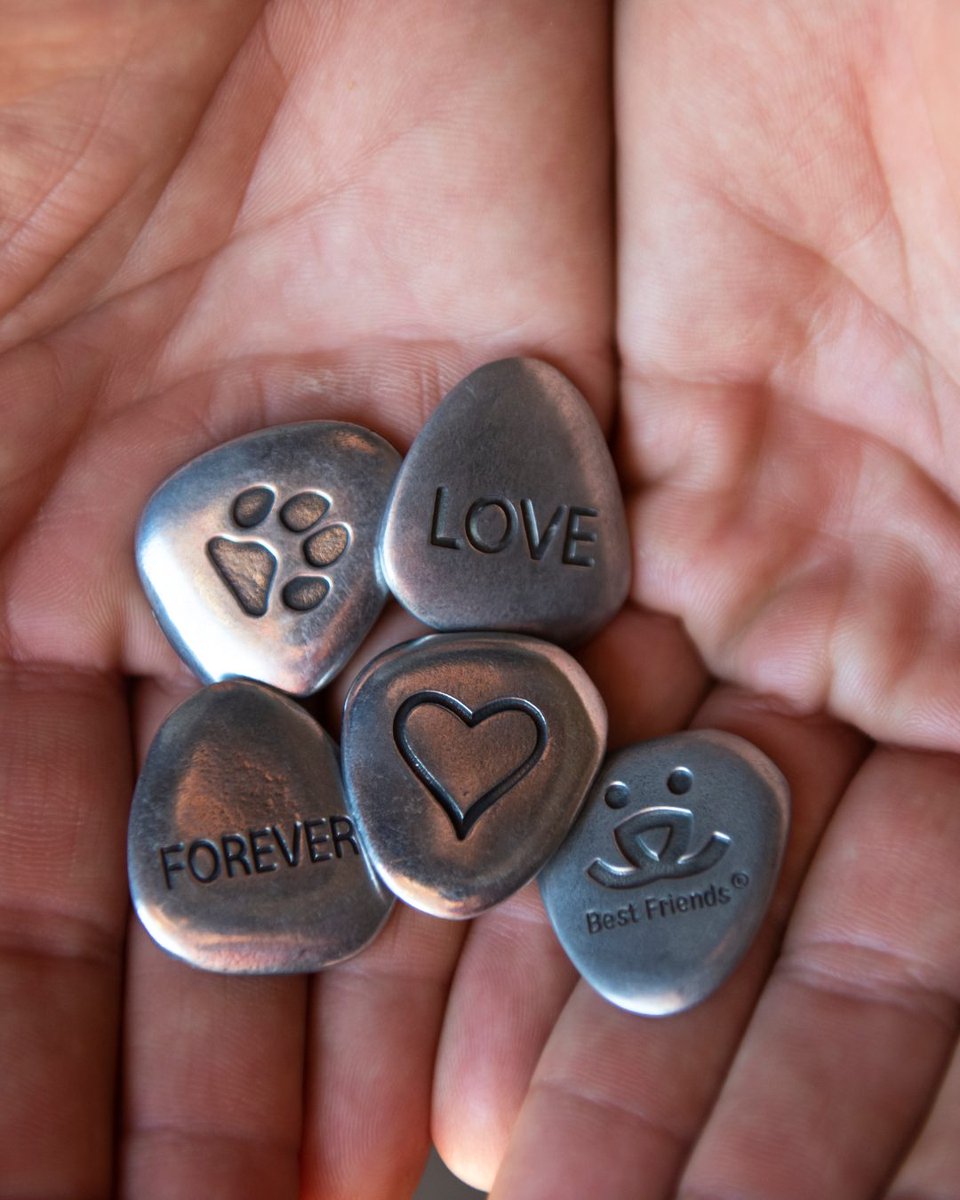 bestfriends's tweet photo. This Month, we’re remembering the pets who taught us about unconditional love and left prints on our hearts. 

If you’re missing a beloved companion, tell us their name. We’d love to remember them with you. ❤️🐾 

#PetMemorialMonth #PetMemories #BestFriendsAnimalSociety https://t.co/c0RbTEK2Pw