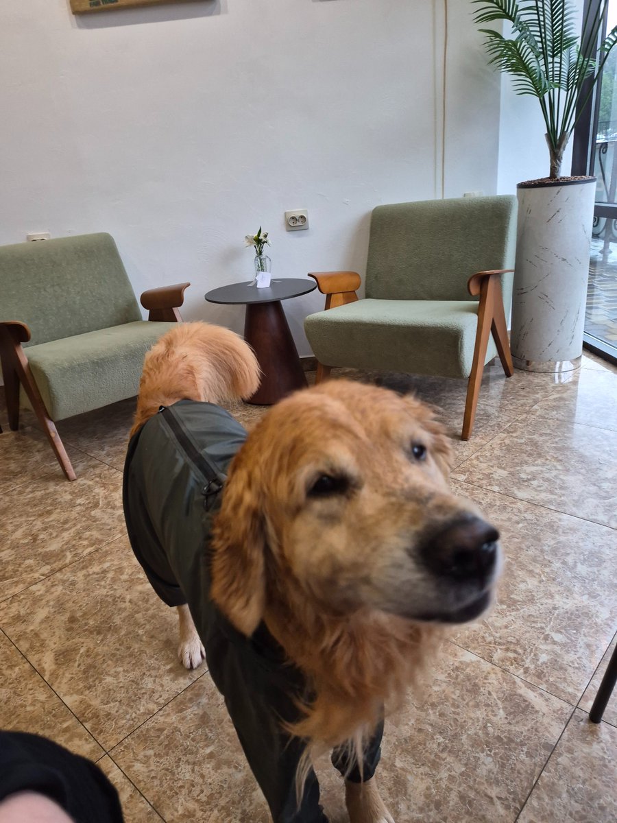 existlethargy's tweet photo. я люблю снимать и не могу прекратить это делать даже когда снимать нечего.

поэтому знакомьтесь — Честер из кофейни https://t.co/kfjEK2aP2P
