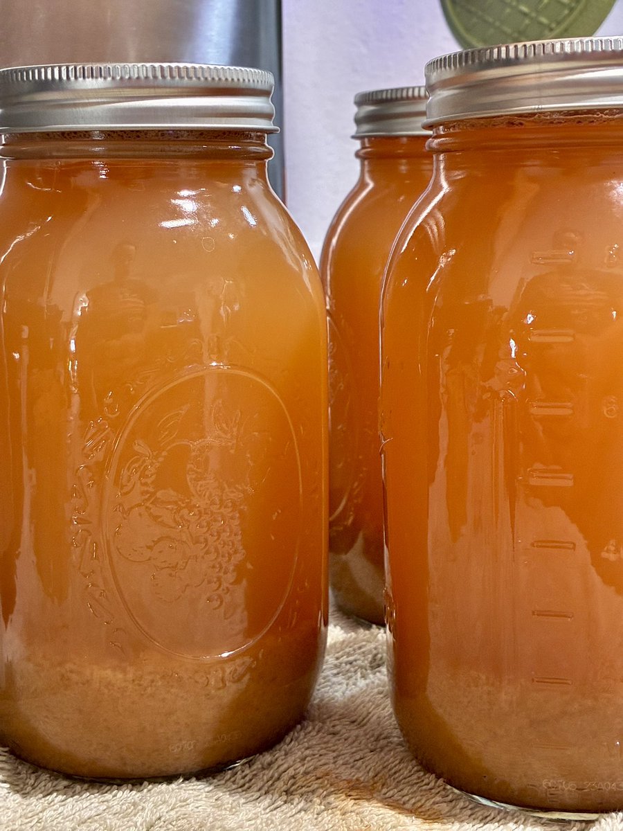 WonderWomaNinja's tweet photo. Welp. My grandiose plan for school today was to use the processing of our 15# of apples into apple juice as a learning experience. Math, science, home-ec.. but what ended up happening was just boys helping me form cutting, scrapping, juicing stations and working together to get a big job done. Kinda a win? In a way? 😬 😅 we got 4 qts canned!