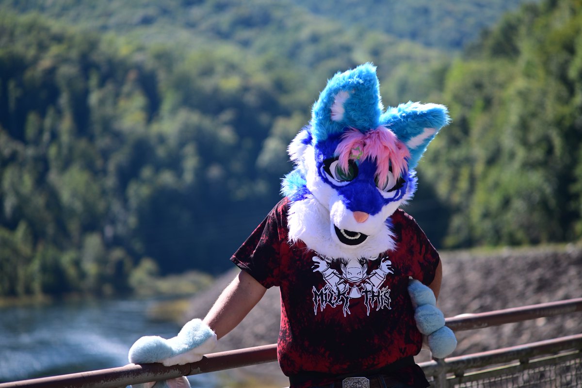 AquaTheFox's tweet photo. #FurryTakeover2026 https://t.co/SD2al4qDXV