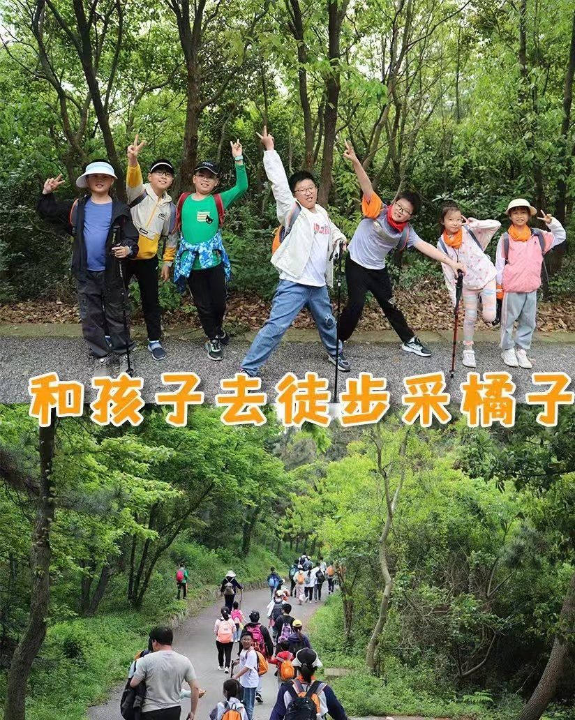 wes49c1b646's tweet photo. The team's shared passion for citrus—including fresh tangerines—drives our hiking trip today! https://t.co/9XZTmyLegC