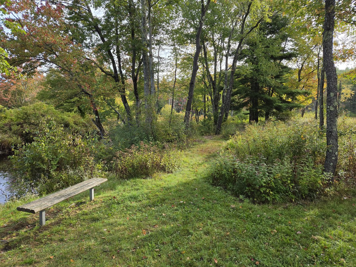 The_Common_Toad's tweet photo. Sometimes walking around outside just makes you want to give up. Not out of depression but just over-awe. https://t.co/5cVr77Zg4O