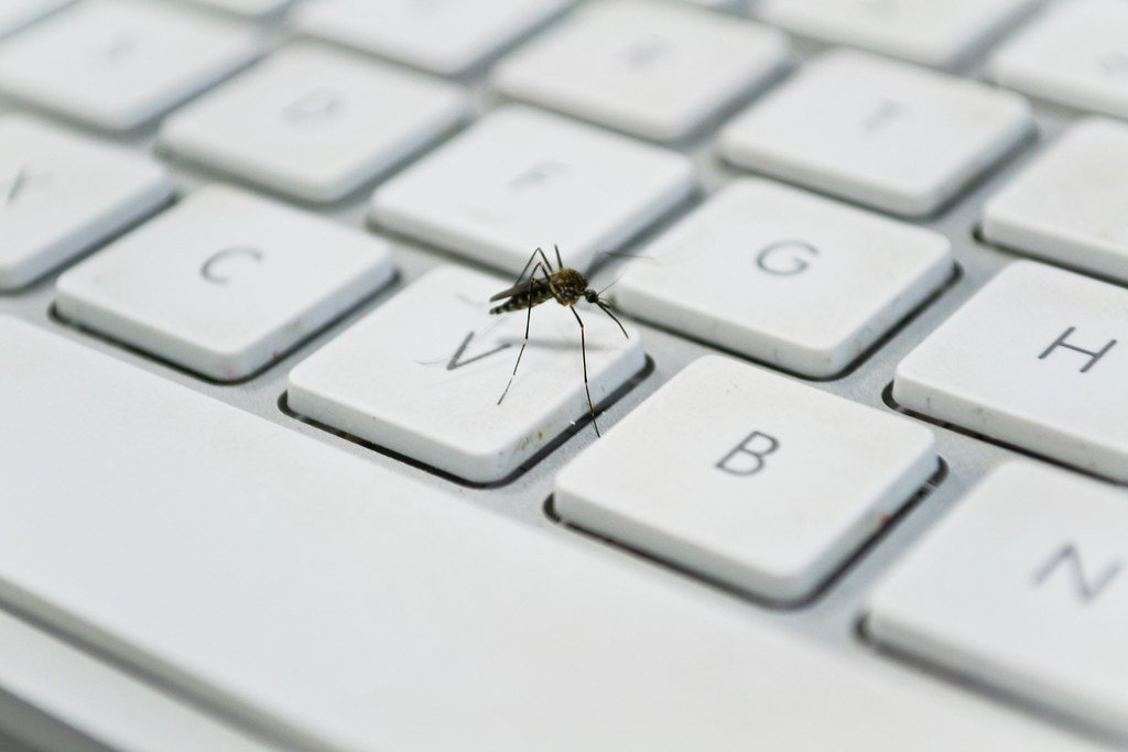 cremieuxrecueil's tweet photo. "I think ecologists need to be much more concerned by the wave of proudly-ignorant anti-mosquito technology campaigns coming." https://t.co/0BkO8nKCKK