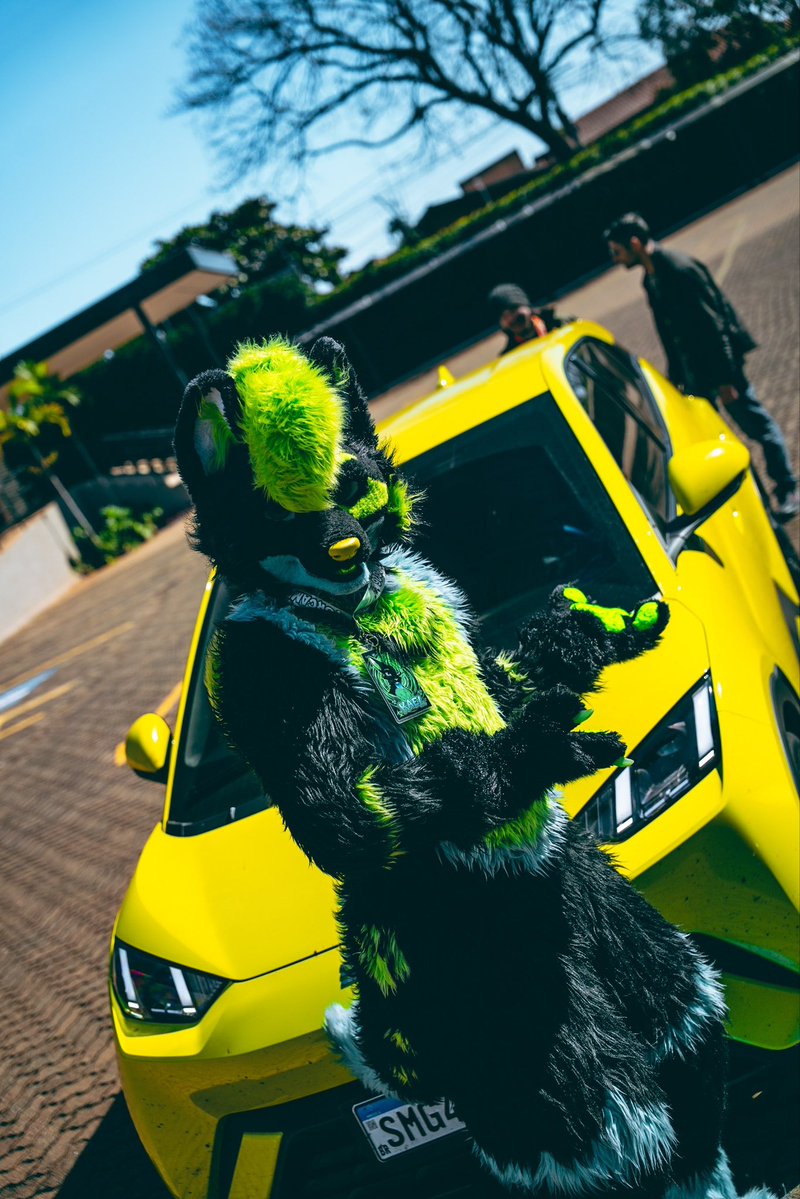 Kael_ice_wolf's tweet photo. Eu tipo: WHATA FOCK MANO 
#byd #furry #toxic #fyp https://t.co/fx5YeKkUHC