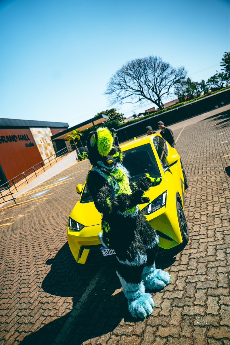 Kael_ice_wolf's tweet photo. Eu tipo: WHATA FOCK MANO 
#byd #furry #toxic #fyp https://t.co/fx5YeKkUHC