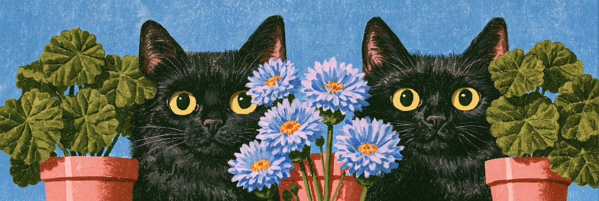 AiMeowing's tweet photo. be kind https://t.co/02lvM6o6ay