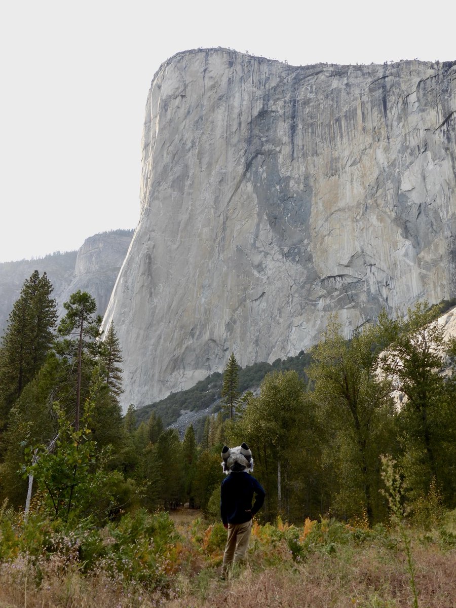 _Teruna's tweet photo. Out in the valley...

Instagram gets these first sorry https://t.co/S4LHKZD8jS