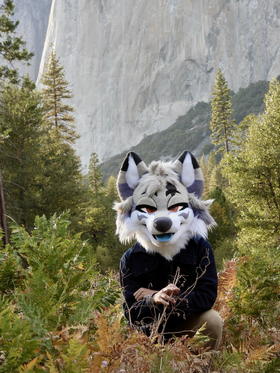 _Teruna's tweet photo. Out in the valley...

Instagram gets these first sorry https://t.co/S4LHKZD8jS