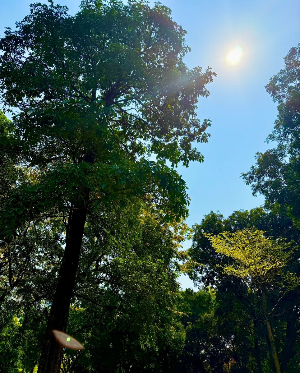 VanessaAveyjah's tweet photo. Hoy hace un sol perfecto para salir a caminar y disfrutar la primavera ， https://t.co/2yS3J78xqu