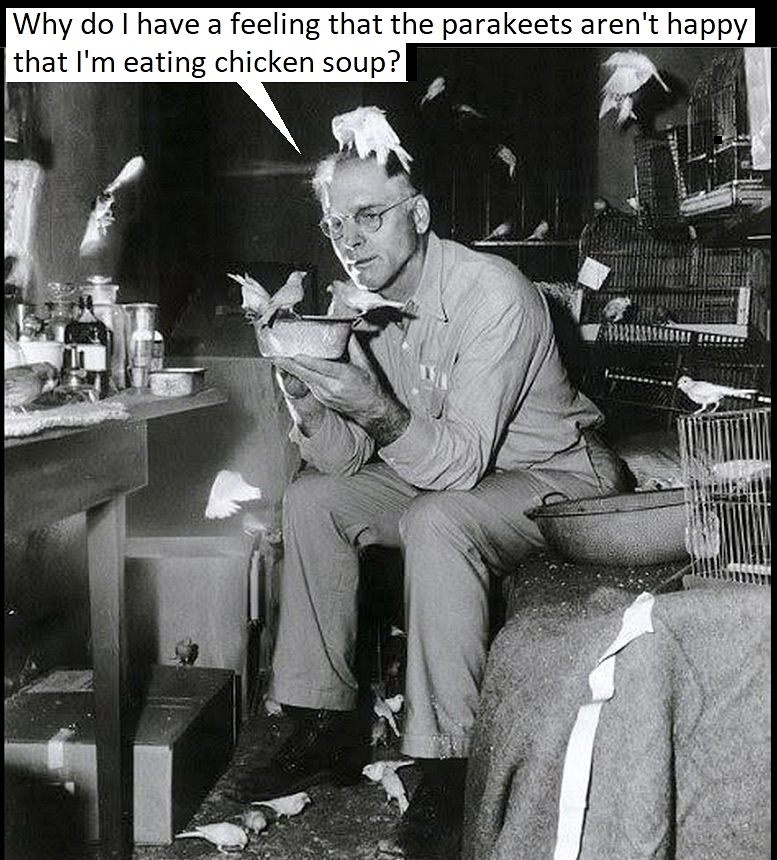 RancidRandy1's tweet photo. #dogs #pets #animals #cats #film #lol #joke #comedy #movie #humor #wildlife #nature #birds #actors #horror #kids #family #prank #health #healthy #wellness #scifi #lifestyle #fitness #cat #dog #animallover #cooking #food #foodie #kitchen #dining #mystery #jail #noir #crime #travel https://t.co/HX2Hyra0co