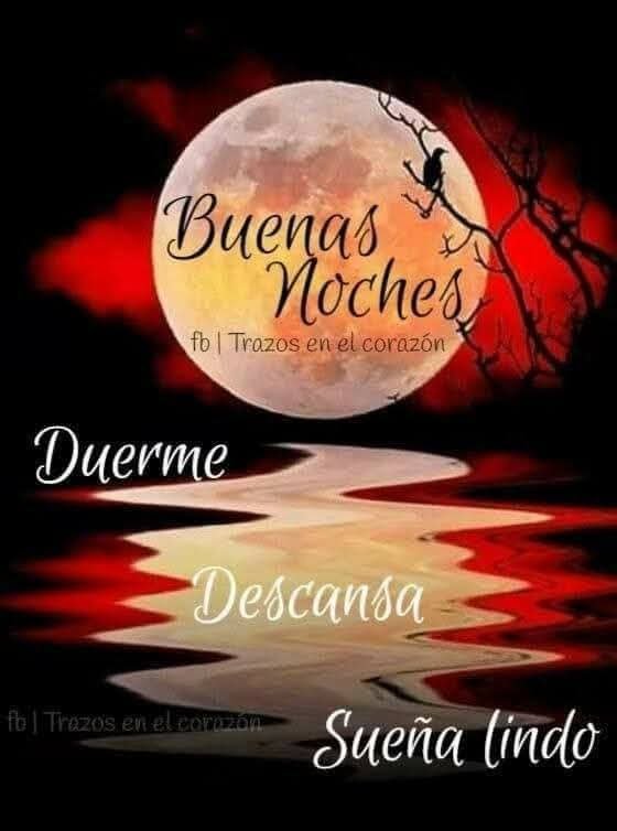 Fernand1103151's tweet photo. Buenas noches. Que tengáis dulces sueños 🥰🥰❤️😴⭐️🌛 https://t.co/gmJSYXws48