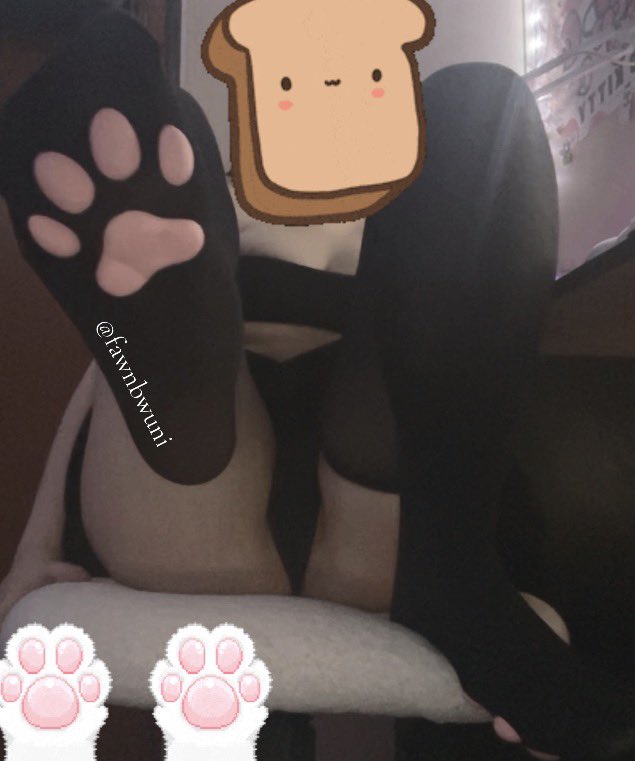 fawnbwuni's tweet photo. pawsocks are not comfy why the internet lie
#pawsocks #skirt #seller #sellingcontent #egirl #discord #alt https://t.co/l8kSQxYEtz